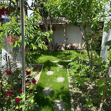 Apartment Climatise Avec Terrasse Ombragee Dans Maison Au Calme Et Dans La Verdure